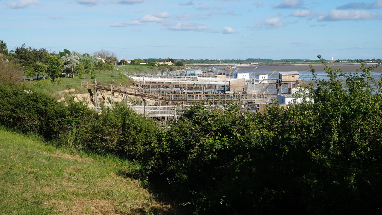 Photo of Others in Port-des-Barques