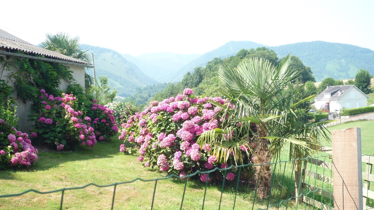 Photo of Outdoor in Arette