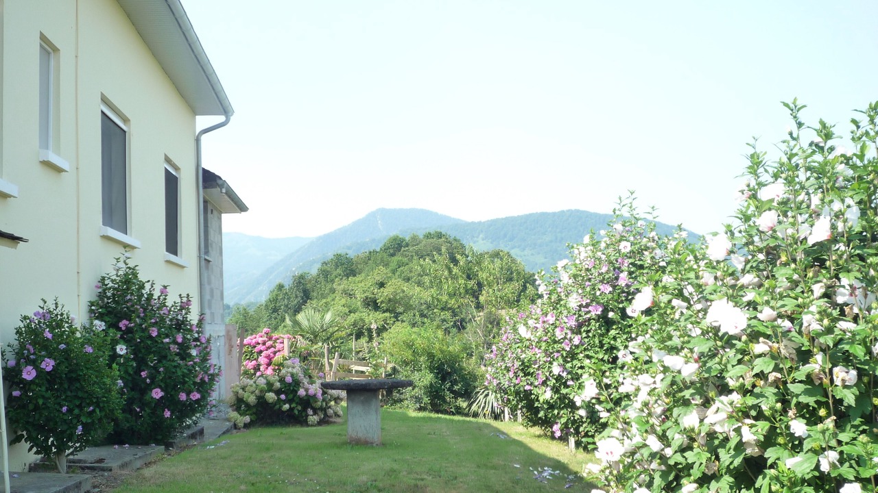 Photo of Outdoor in Arette