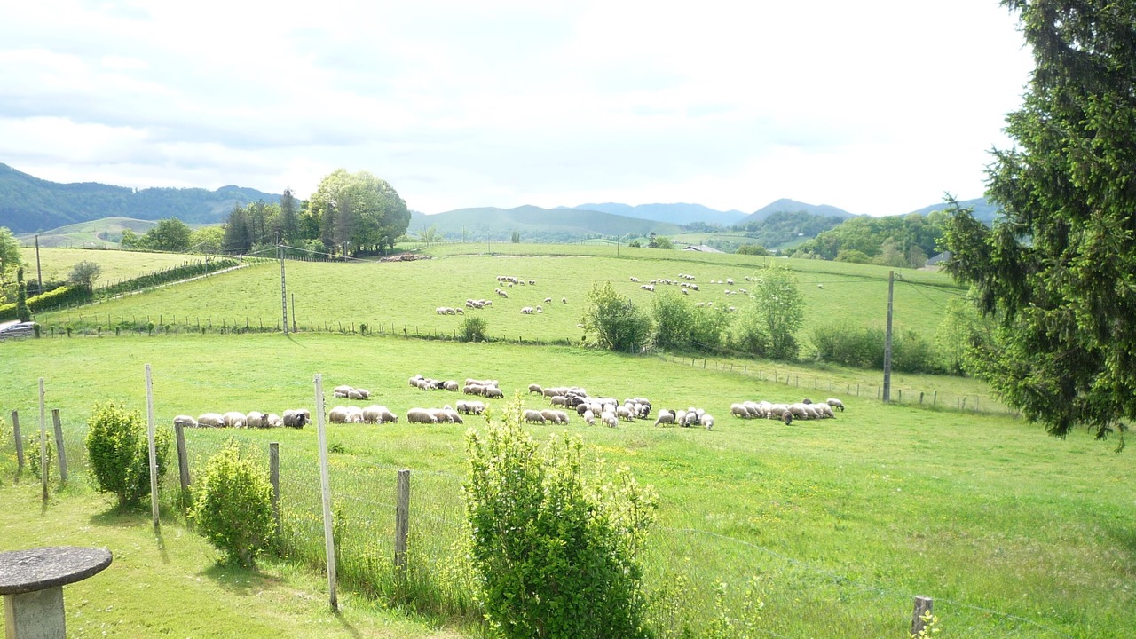 Photo of Others in Arette