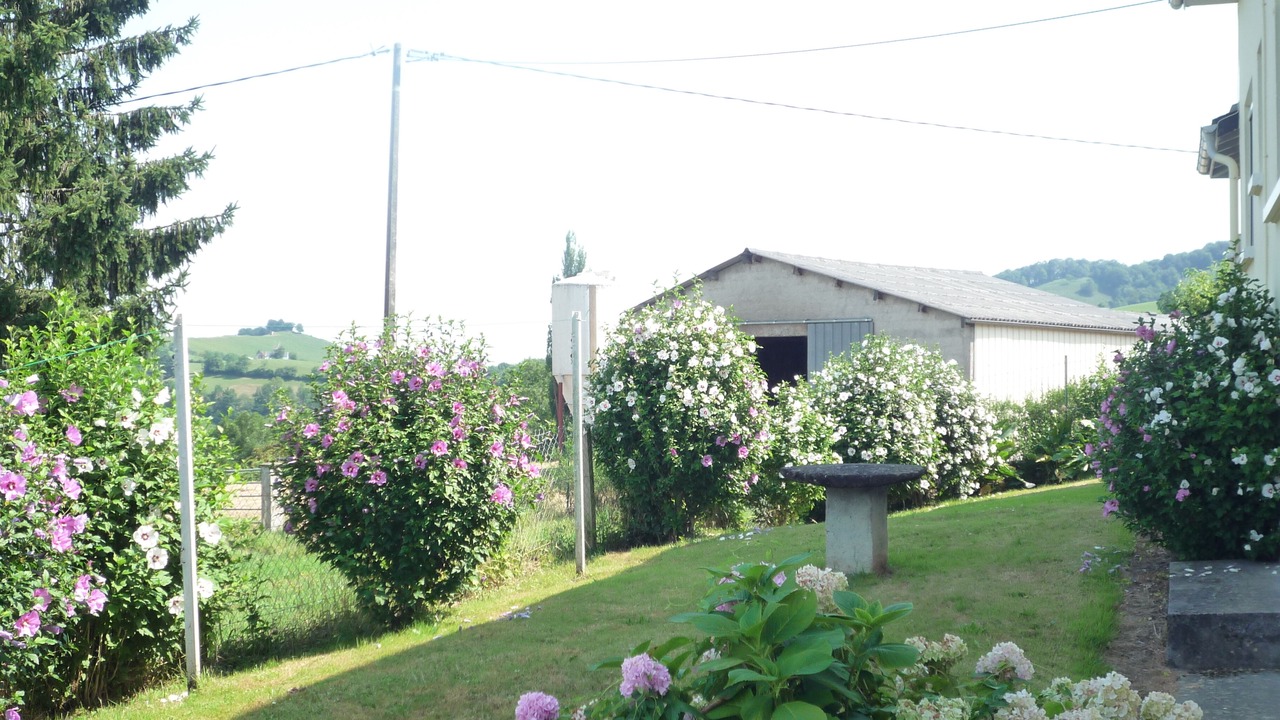 Photo of Outdoor in Arette