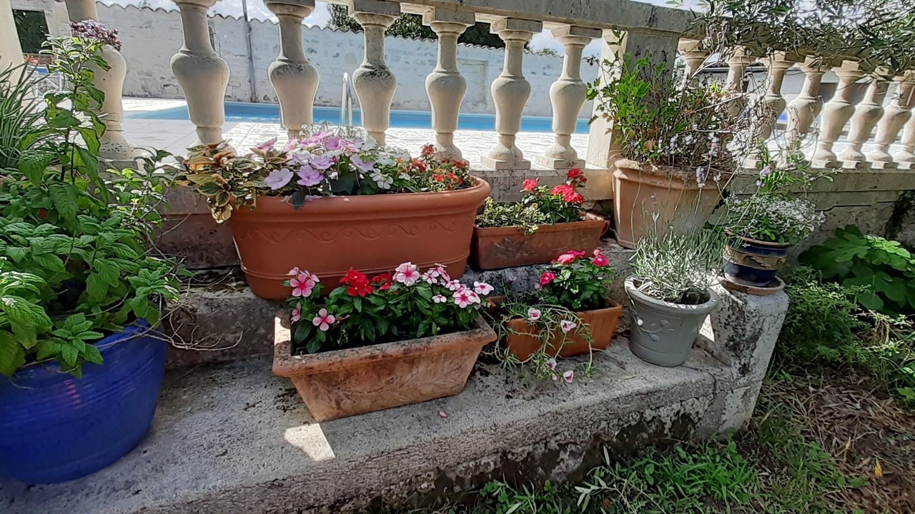 Photo of Outdoor in Saintes Agglomeration