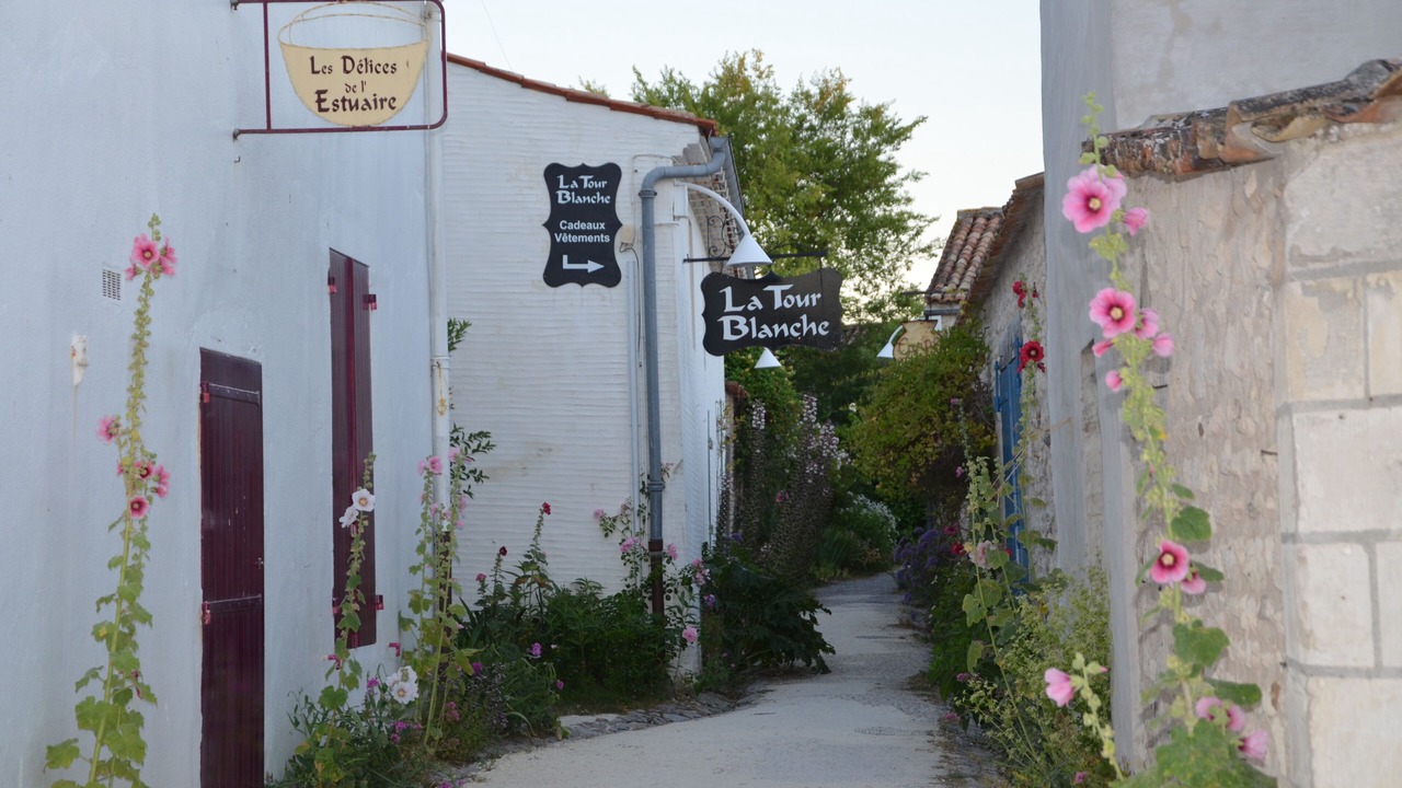 Photo of Outdoor in Medis