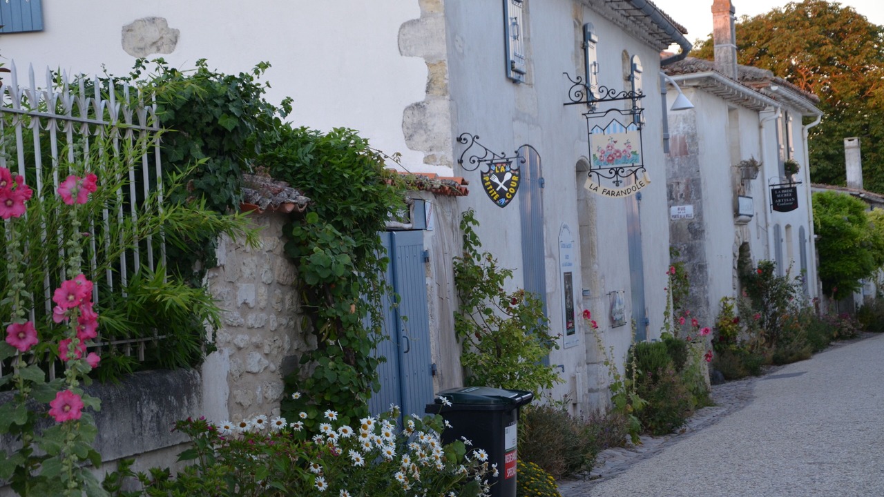 Photo of Outdoor in Medis