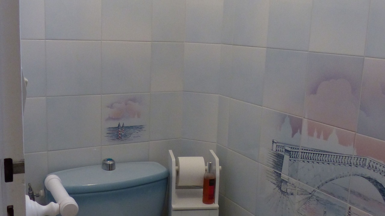 Photo of Bathroom in Medis