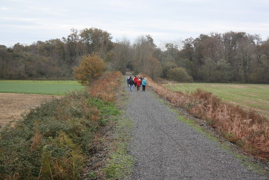 Photo of Outdoor in Castagnede