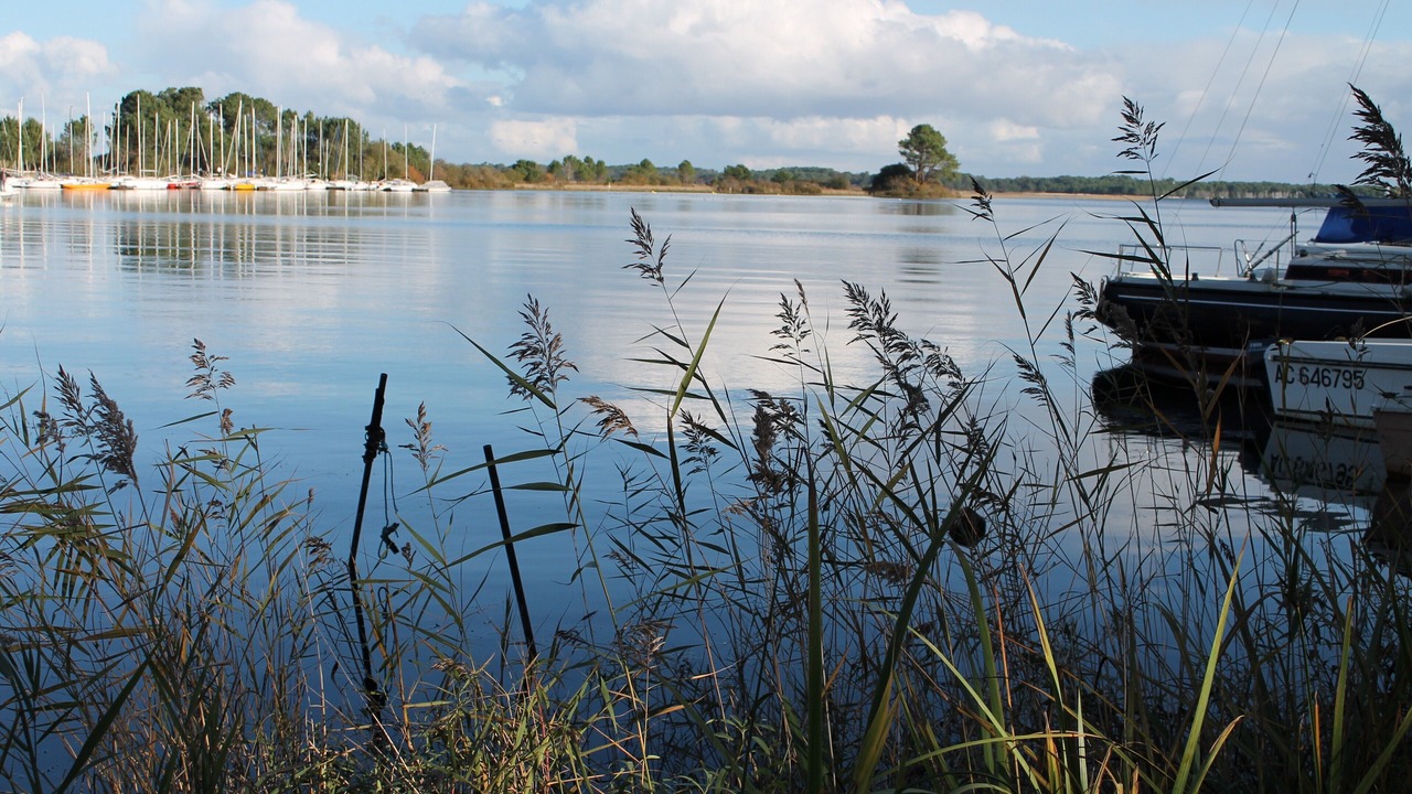 Photo of Outdoor in Biscarrosse