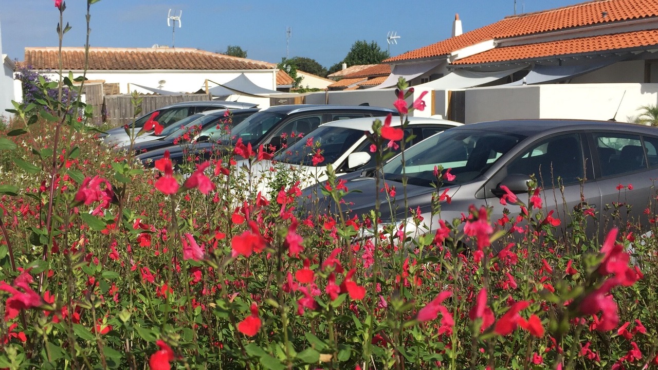 Photo of Others in La Flotte