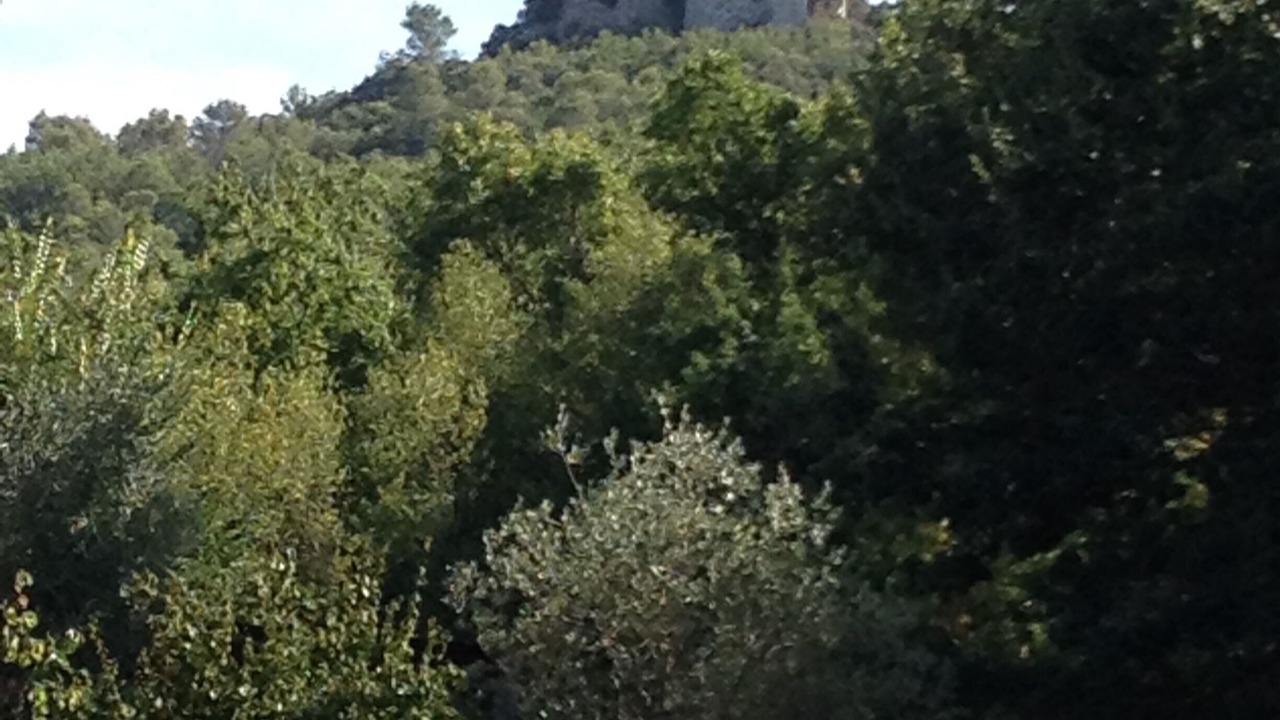 Photo of Outdoor in Forcalqueiret