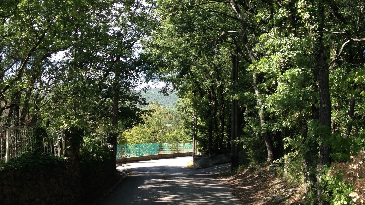 Photo of Outdoor in Forcalqueiret