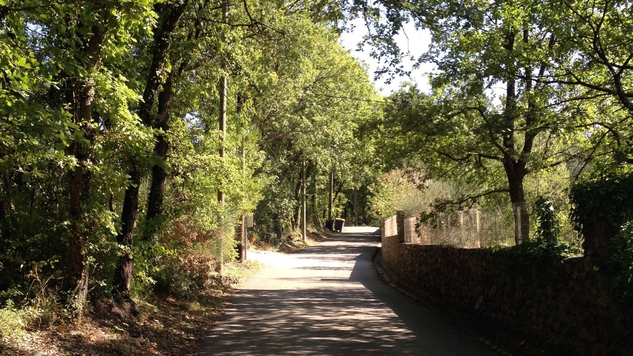 Photo of Outdoor in Forcalqueiret