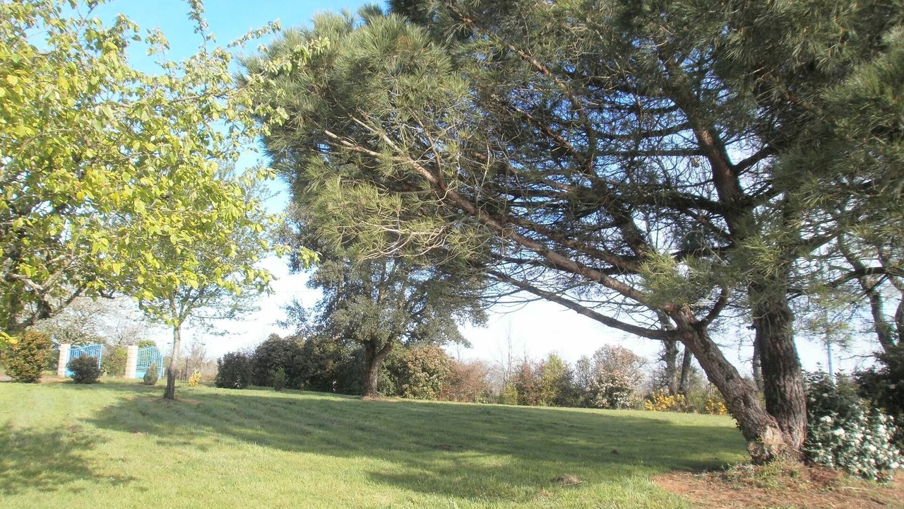 Photo of Others in Saint-Pierre-de-Buzet