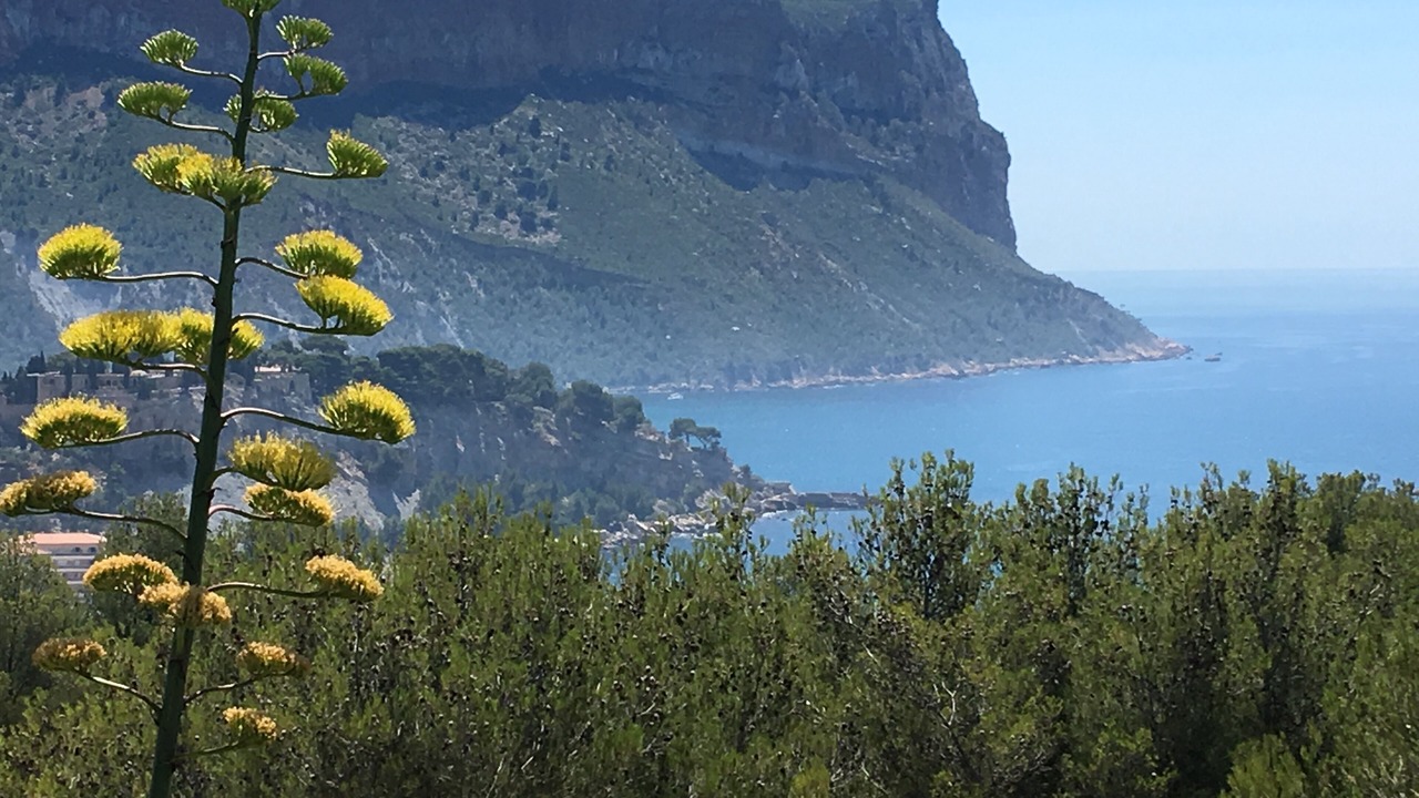 Photo of Others in Cassis