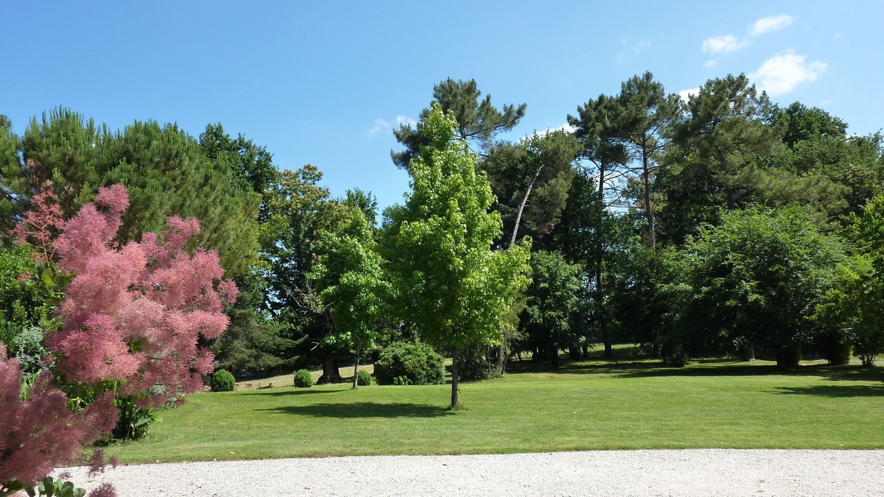 Photo of Outdoor in Saint-Pierre-de-Cole