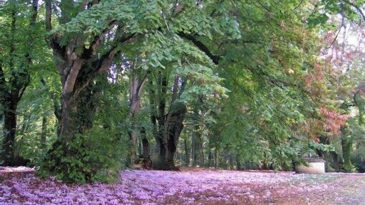 Photo of Outdoor in Ternay