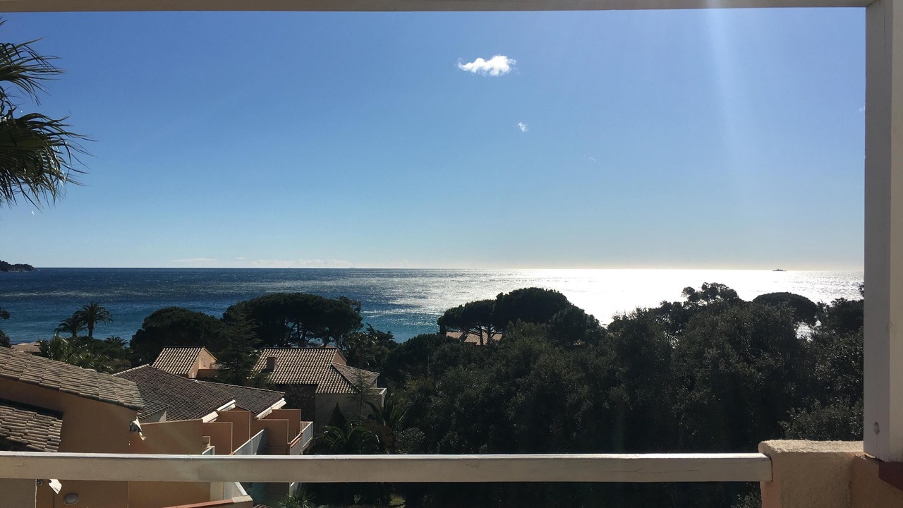 Photo of Outdoor in Le Lavandou