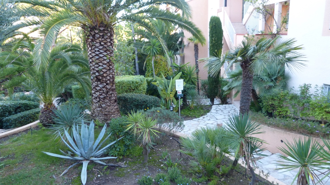 Photo of Outdoor in Le Lavandou