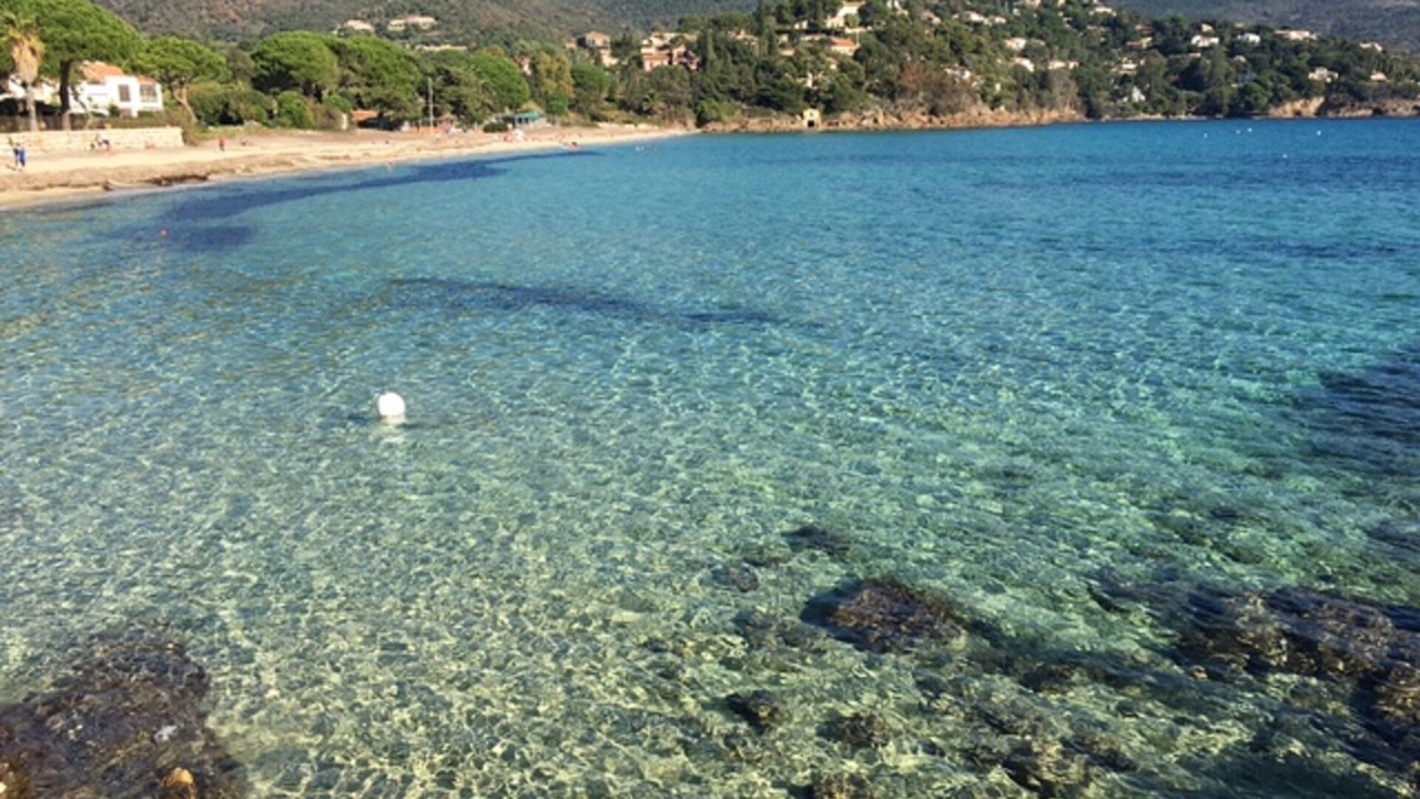 Photo of Others in Le Lavandou
