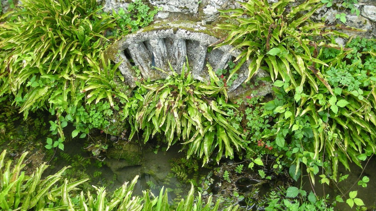 Photo of Outdoor in Queyssac