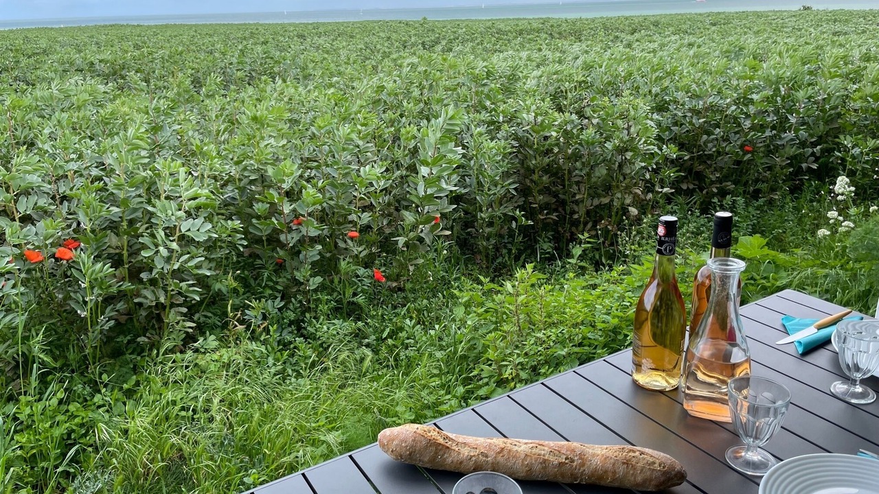 Photo of Outdoor in La Flotte