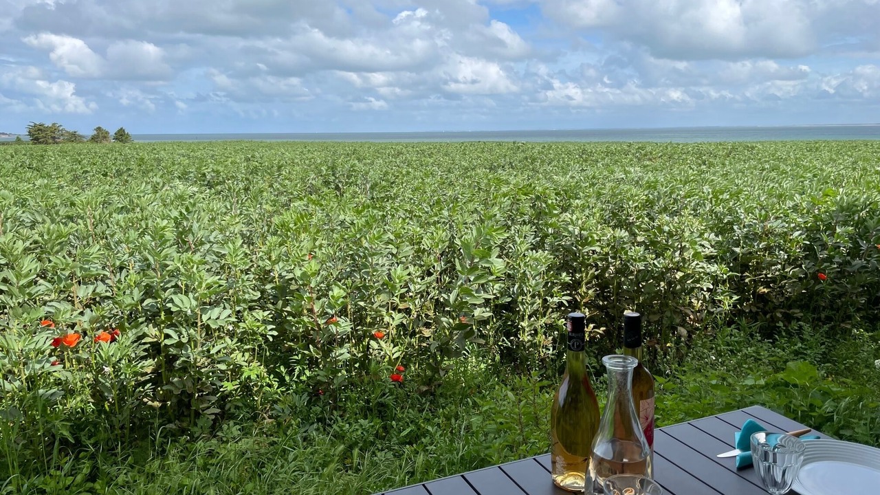 Photo of Outdoor in La Flotte