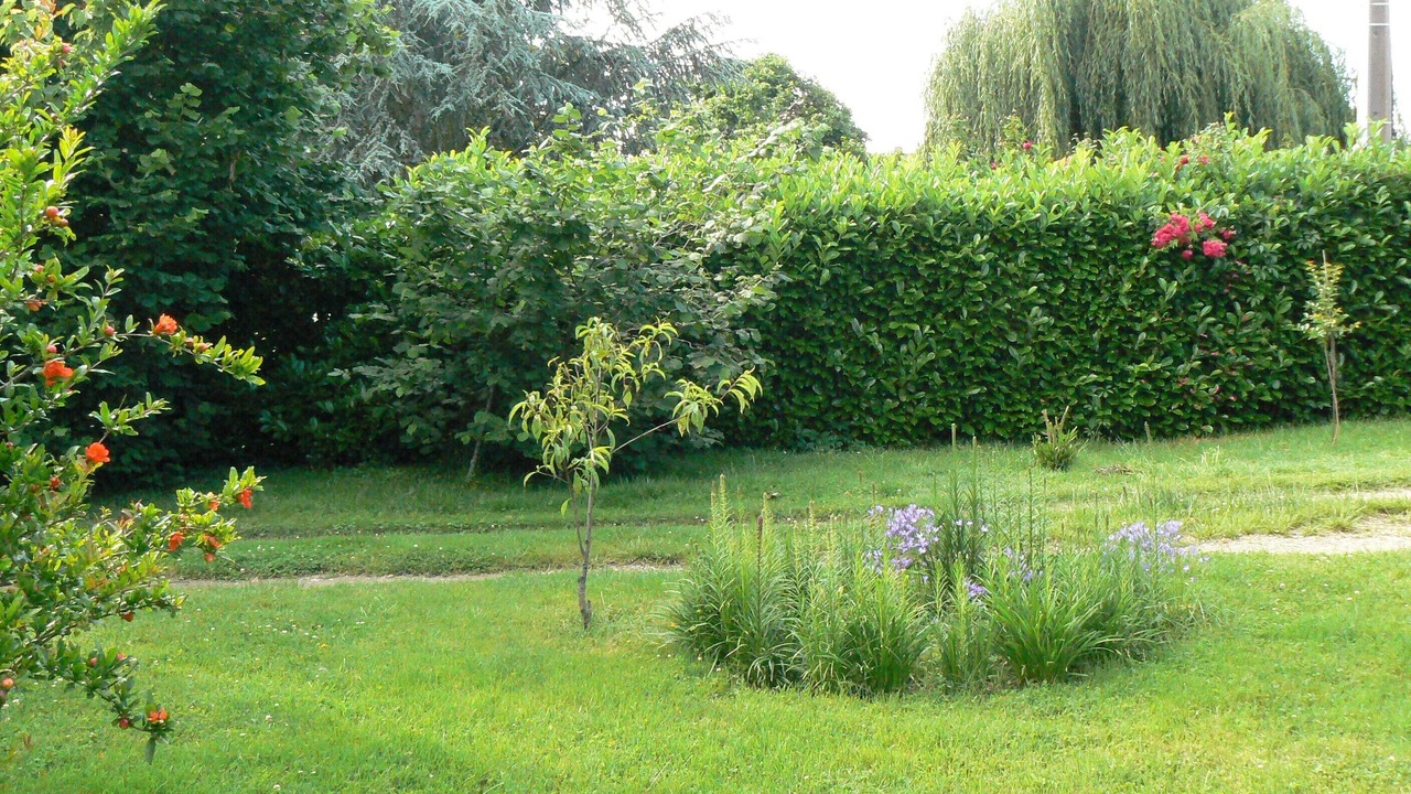 Photo of Outdoor in Saint-Hilaire-de-Lusignan