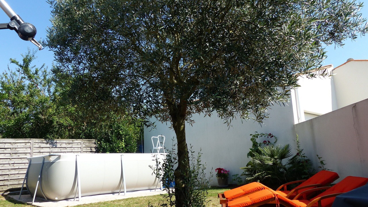 Photo of Outdoor in Angoulins