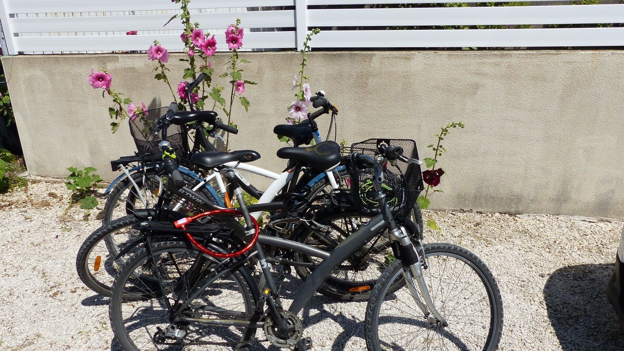Photo of Outdoor in Angoulins