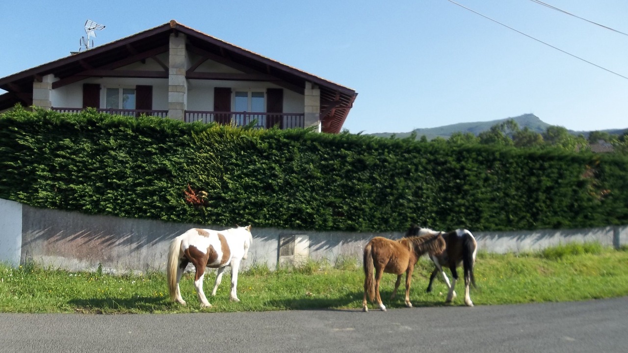 Photo of Outdoor in Ascain