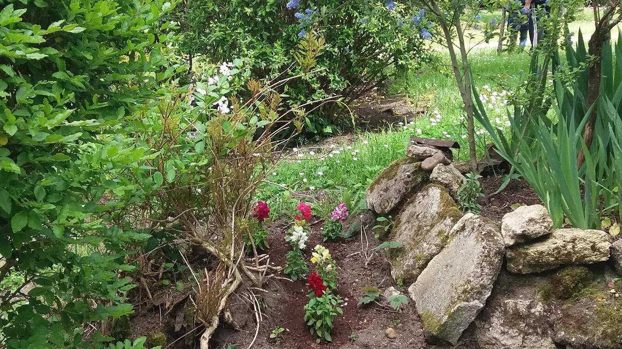 Photo of Outdoor in Gradignan