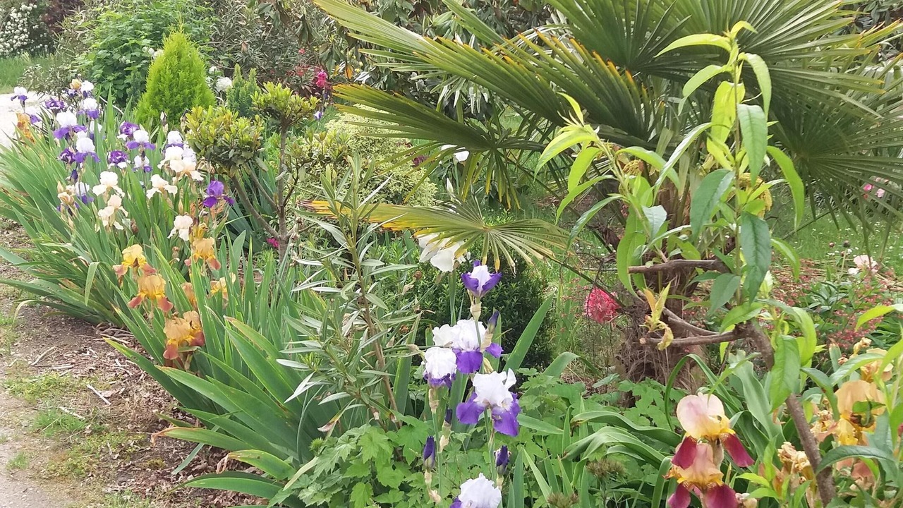 Photo of Outdoor in Gradignan