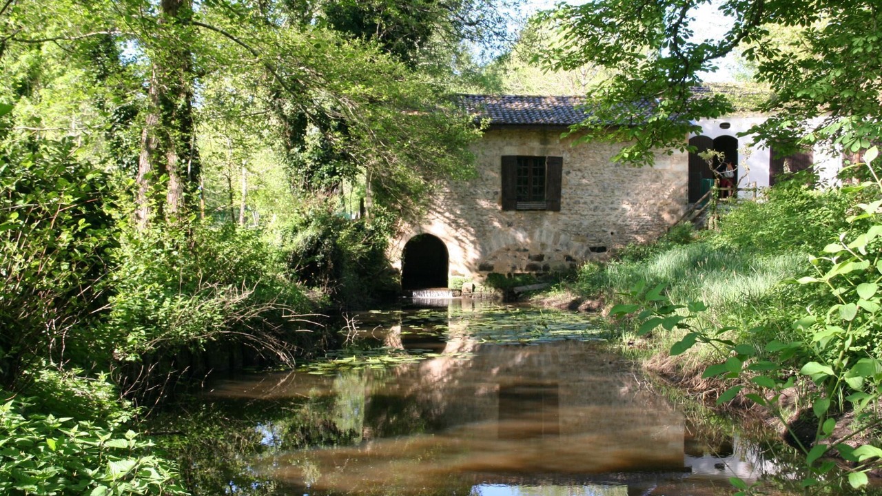 Photo of Outdoor in Gradignan