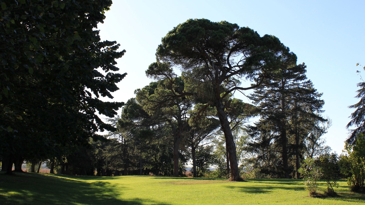 Photo of Others in Puch-d'Agenais