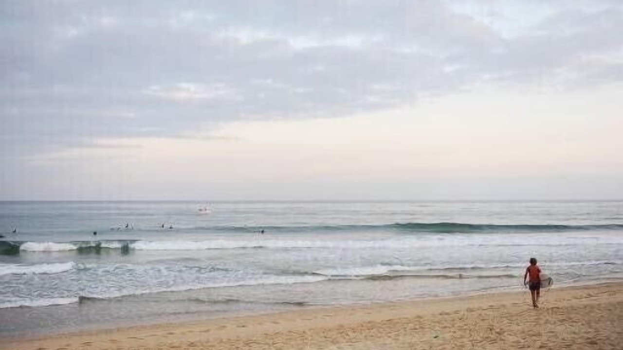 Photo of Others in Soorts-Hossegor