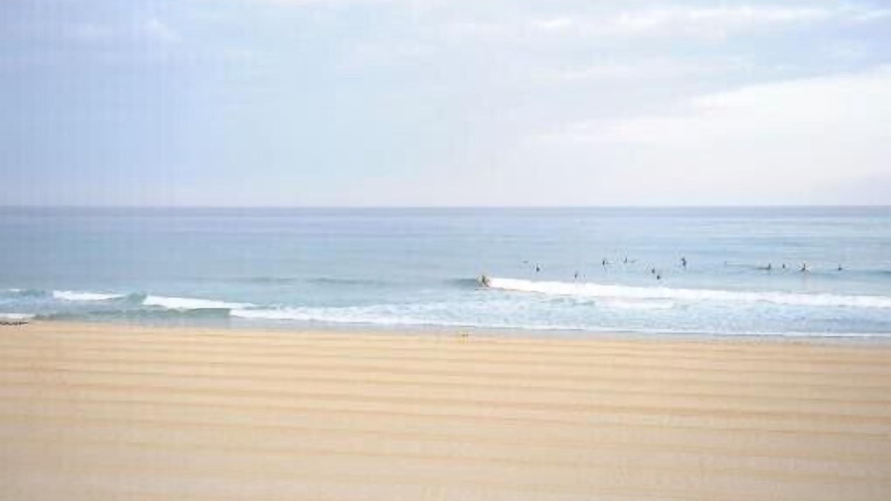 Photo of Others in Soorts-Hossegor