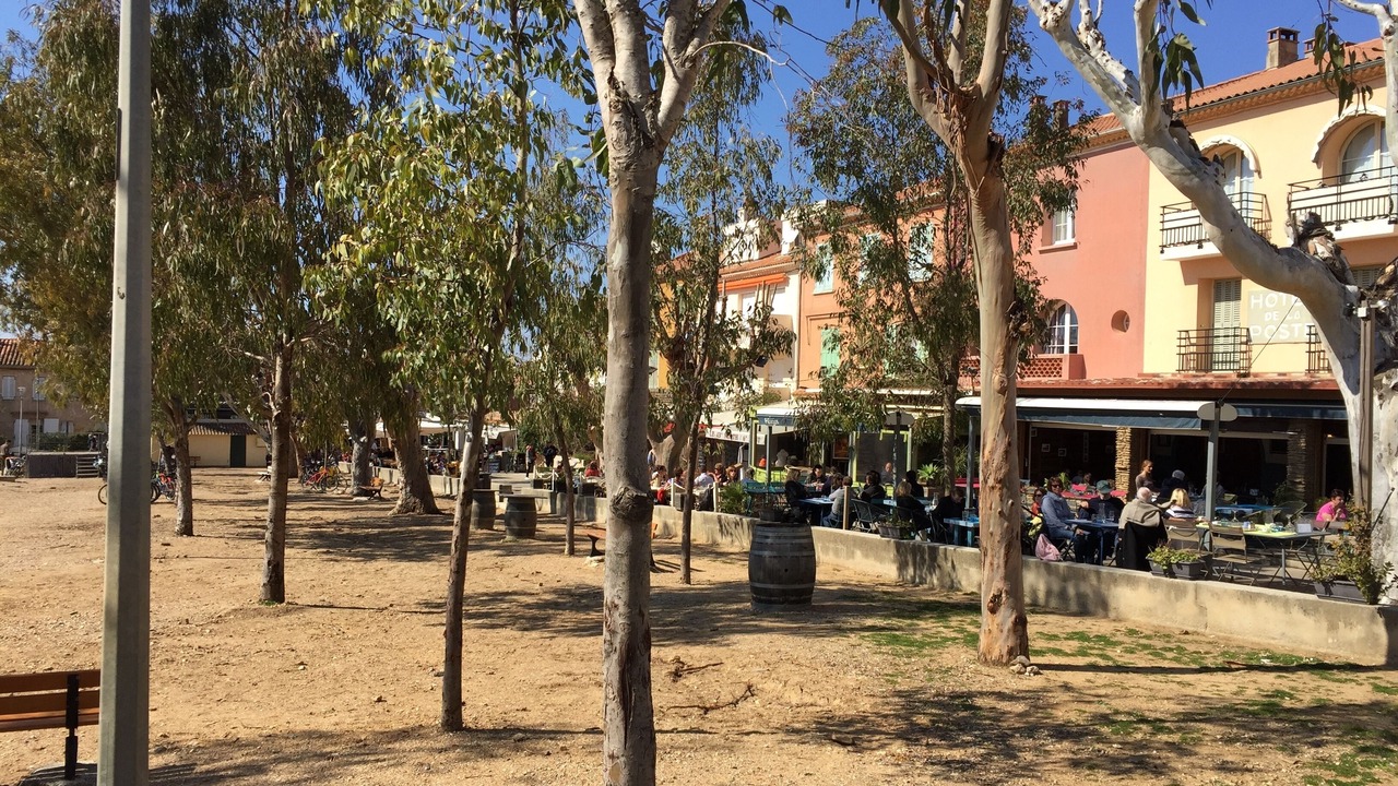 Photo of Outdoor in Porquerolles