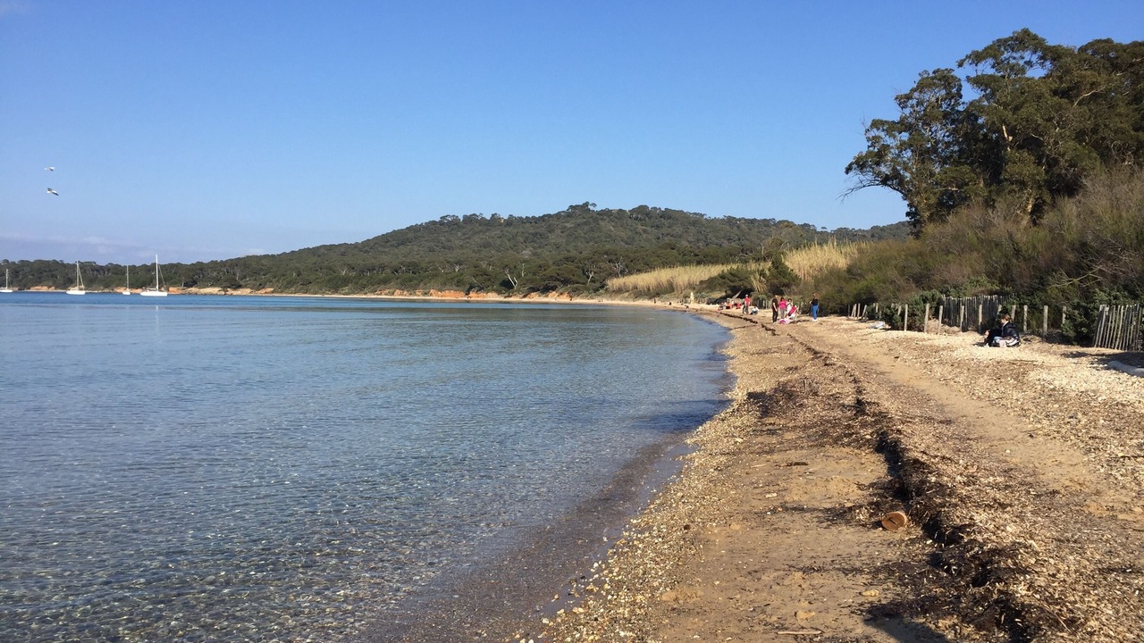 Photo of Others in Porquerolles