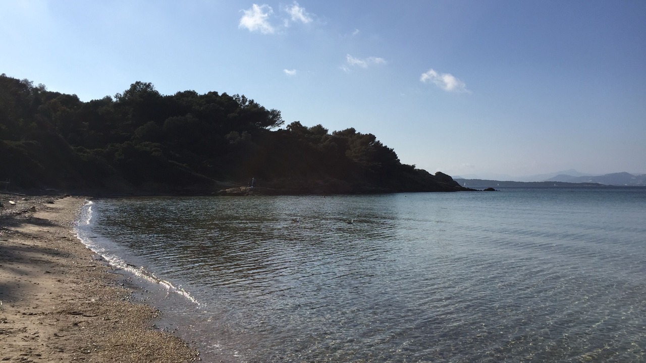 Photo of Others in Porquerolles