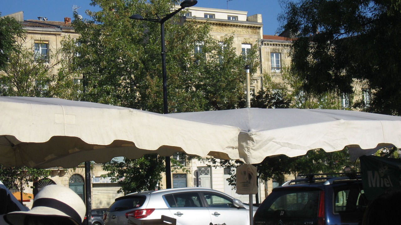 Photo of Others in Bordeaux