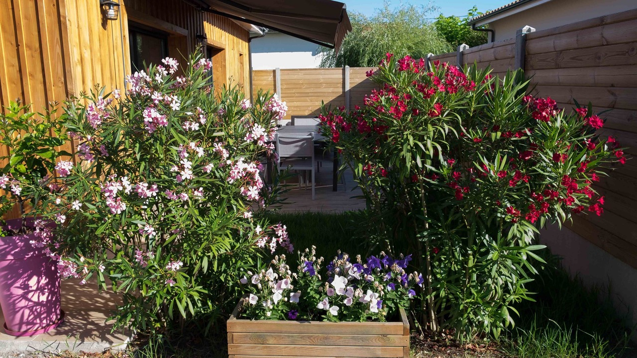 Photo of Patio Balcony in Ares