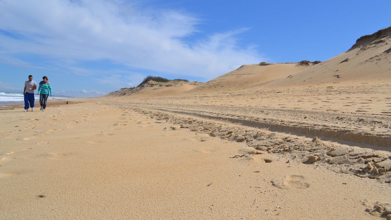 Photo of Others in Labenne-Ocean