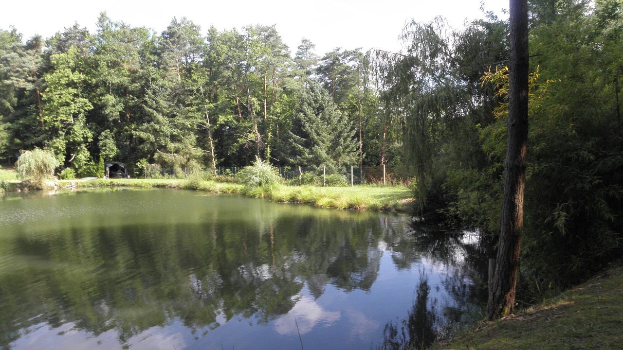 Photo of Outdoor in Augignac