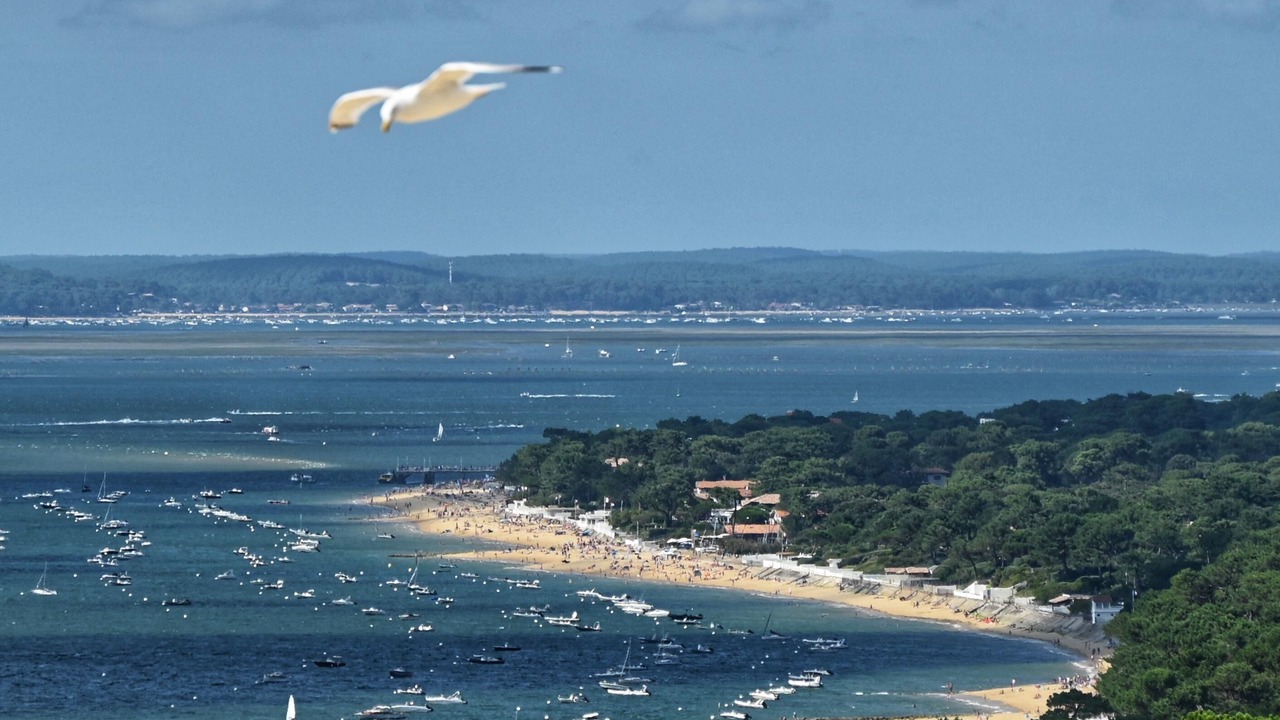 Photo of Others in Pyla-sur-Mer