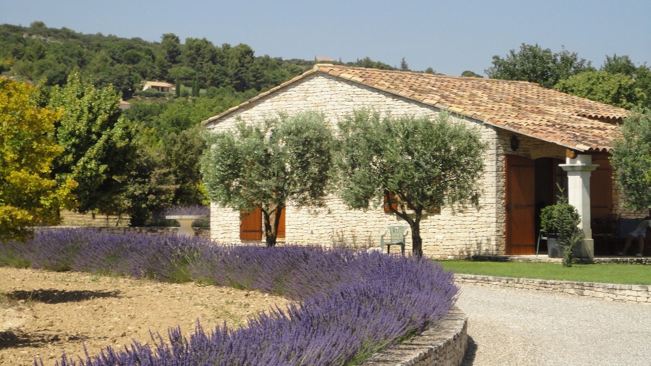 Photo of Outdoor in Joucas