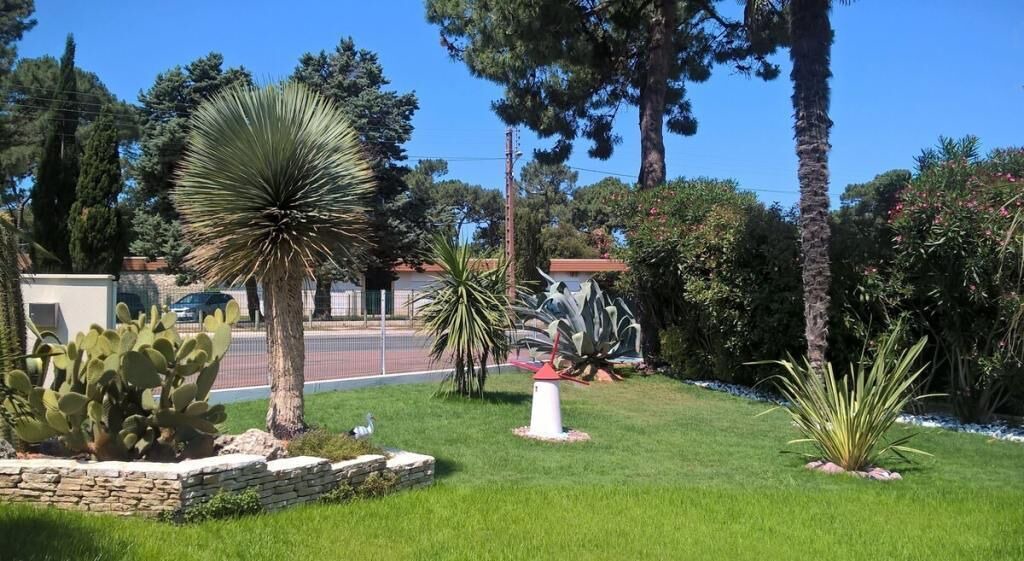 Photo of Outdoor in Saint-Georges-de-Didonne