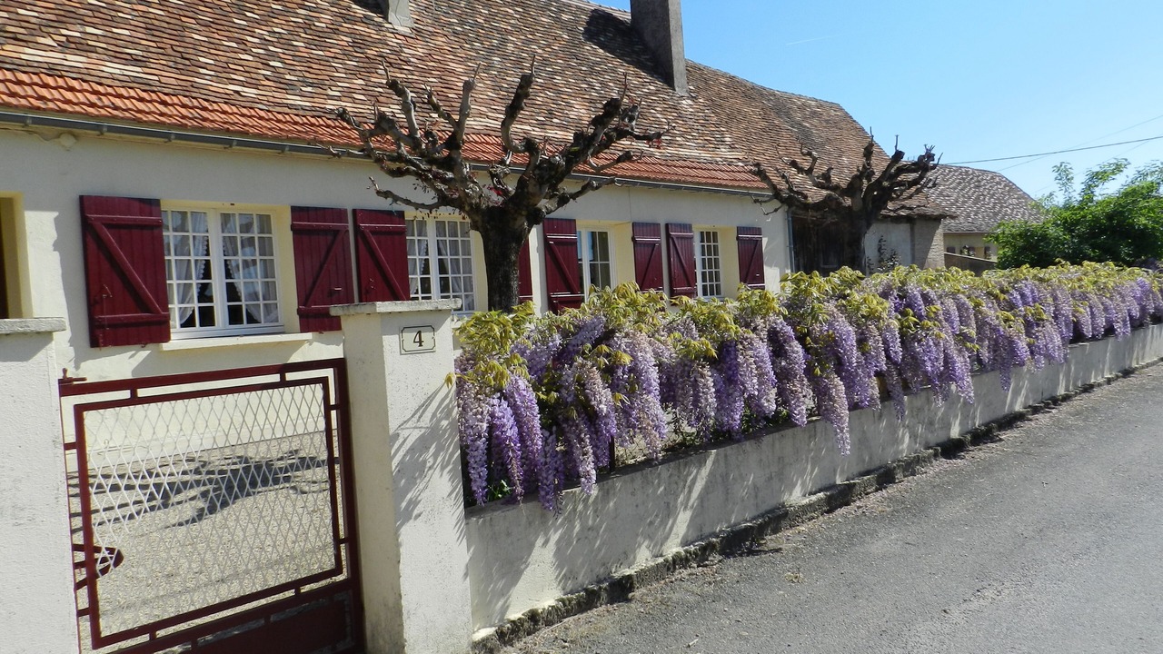 Photo of Outdoor in Saint-Pierre-d'Eyraud