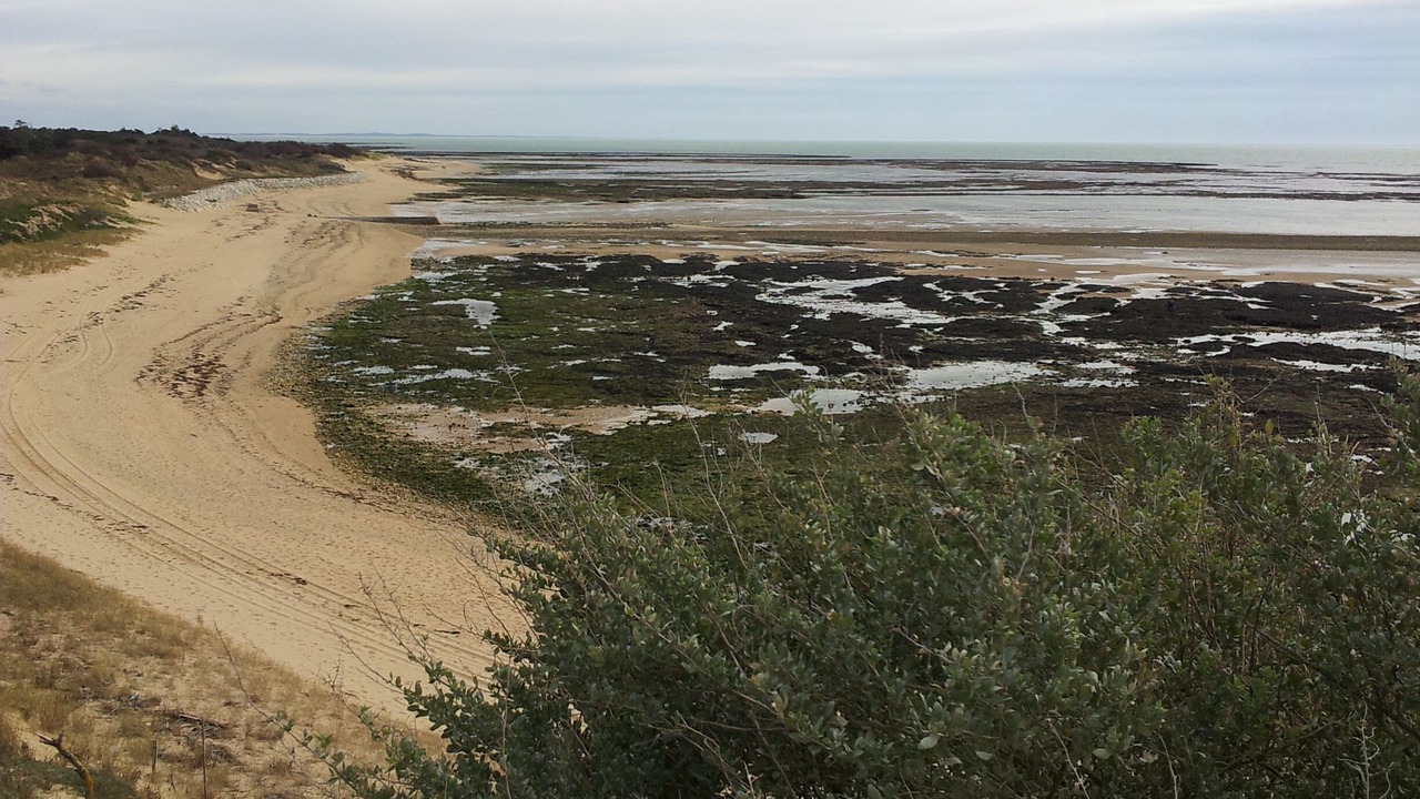 Photo of Others in Saint-Georges-d'Oleron