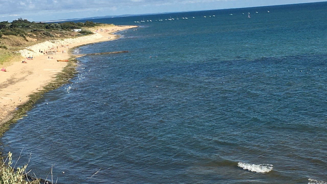 Photo of Others in Saint-Georges-d'Oleron