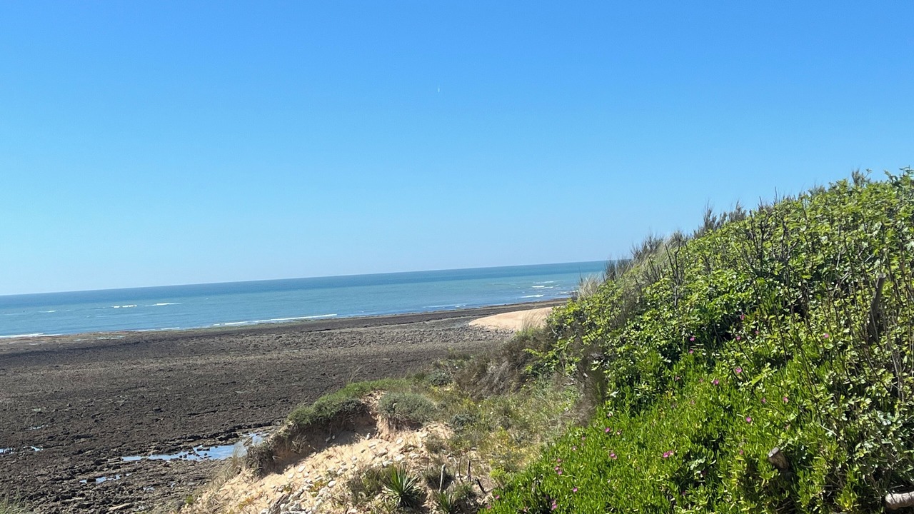 Photo of Others in Saint-Georges-d'Oleron
