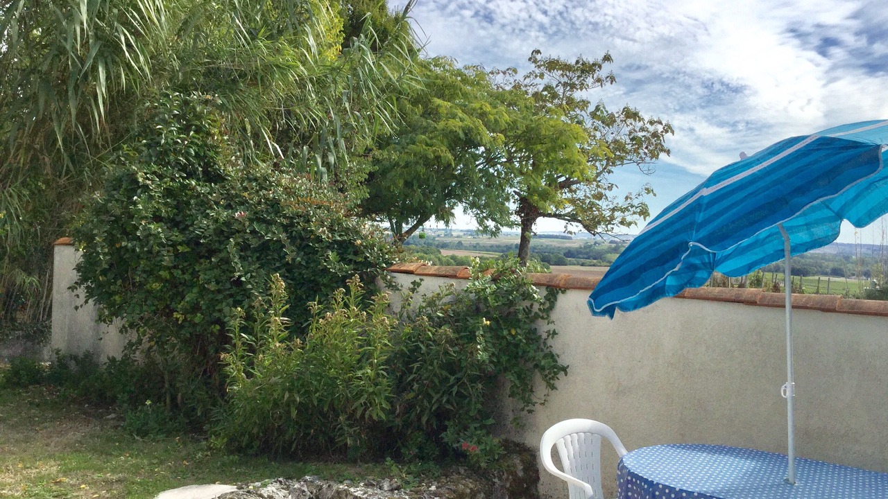 Photo of Others in Saint-Fort-sur-Gironde